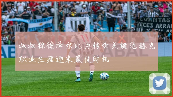 叔叔称德泽尔比为转会关键范赫克职业生涯迎来最佳时机