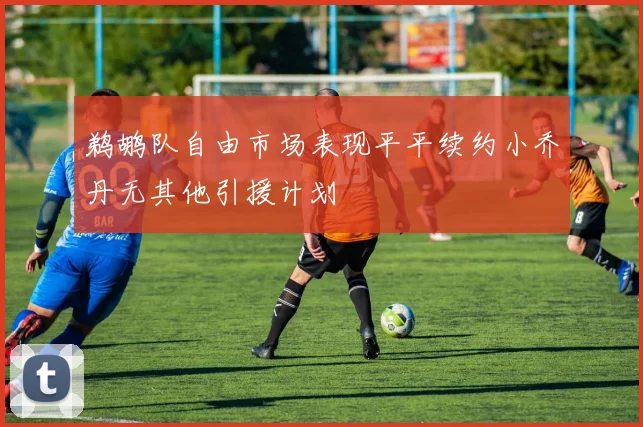 鹈鹕队自由市场表现平平续约小乔丹无其他引援计划
