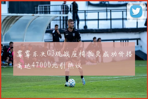 霉霉东决G3观战座椅拍卖成功价格高达47000元引热议
